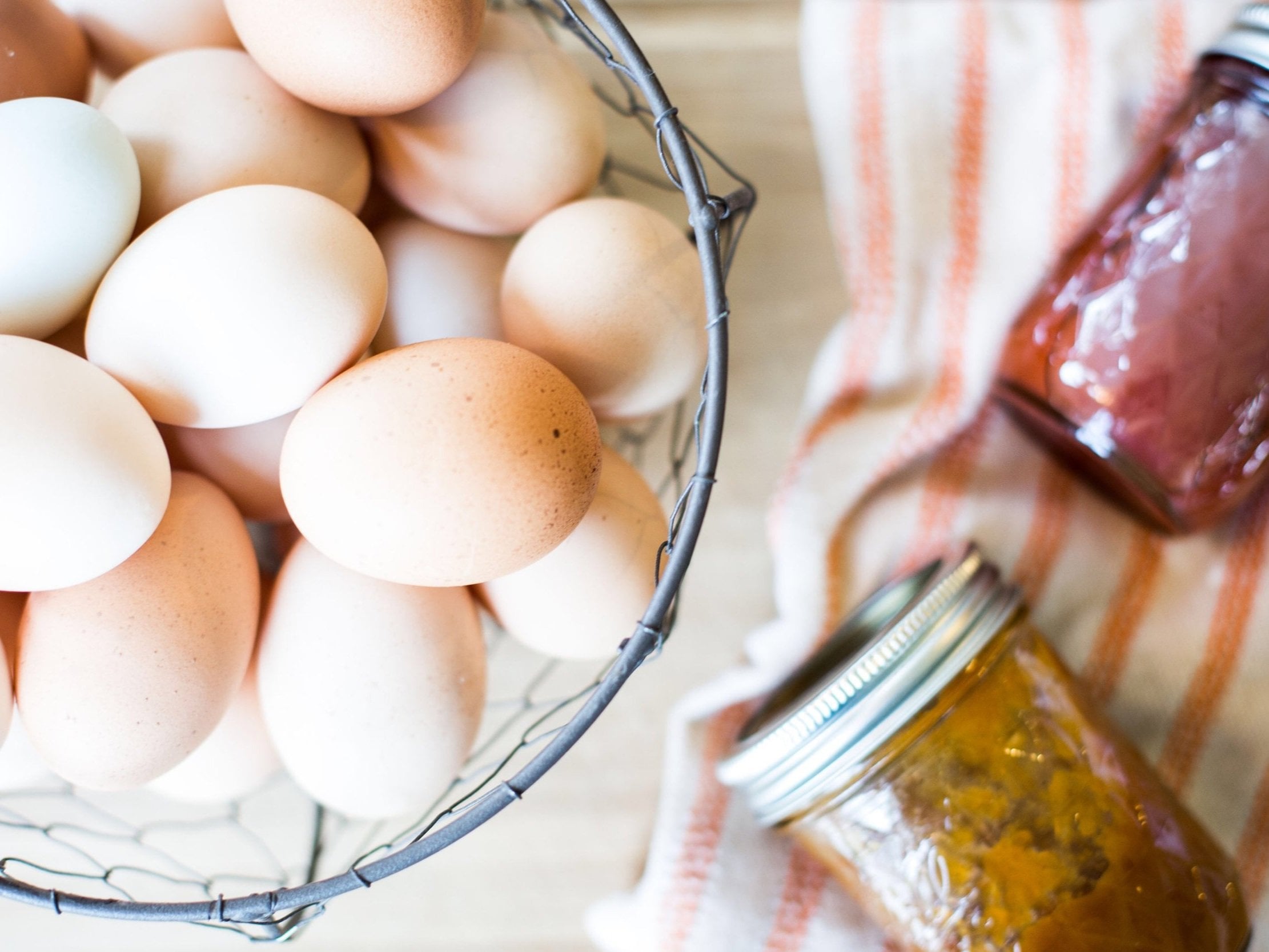 Shenk+Family+Farm+-+North+Carolina+-+eggs