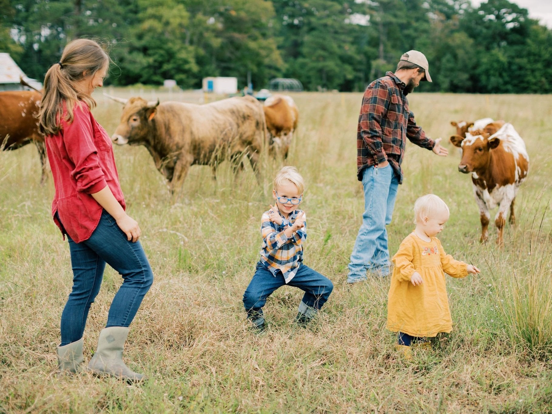 A farmer gently interacts with a cow in a lush green pasture, showcasing a connection between humans and livestock in sustainable agriculture. The background features autumn foliage, highlighting a serene rural landscape.